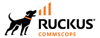 Ruckus Wireless